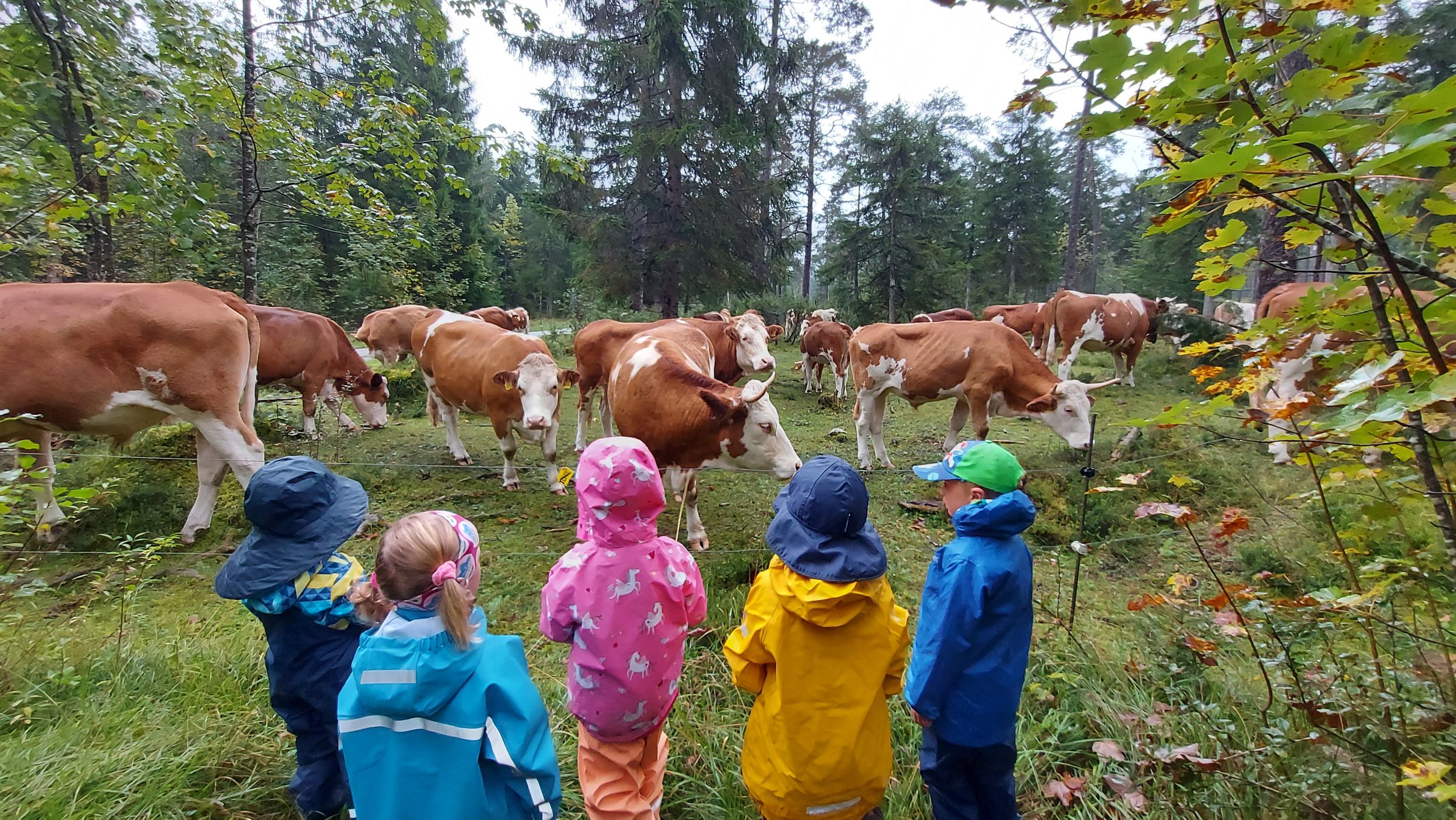 Gemeinde Ruhpolding Kindergarten Waldkindergarten